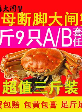 固城湖大闸蟹鲜活蟹螃非全蟹公蟹母蟹螃蟹鲜活螃蟹超大精品残蟹