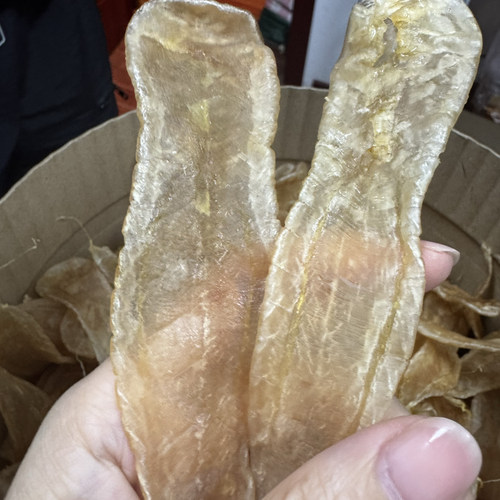 南澳本港白花鱼胶干货花胶鱼胶干货花胶鱼胶干货花胶鱼胶干货花胶
