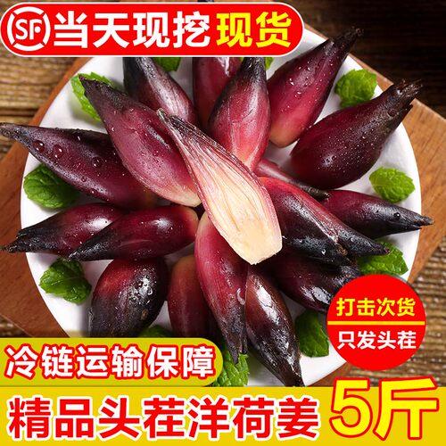 现挖！新鲜洋荷5斤顺丰包邮！