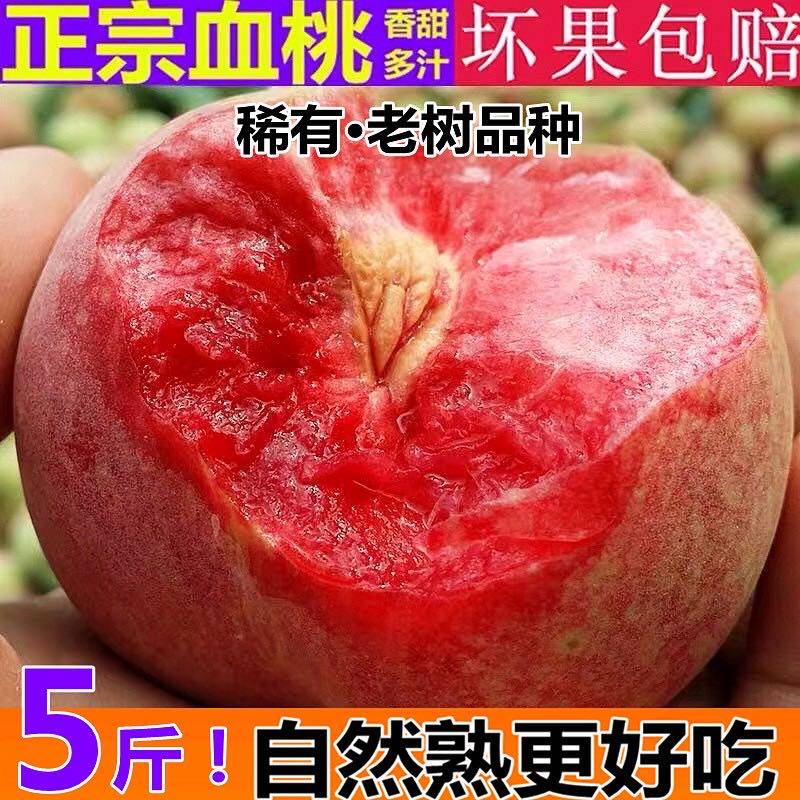 5斤正宗血桃新鲜水果脆桃子当季