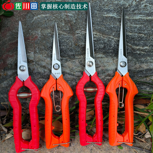 佐川田葡萄柑橘子采果剪