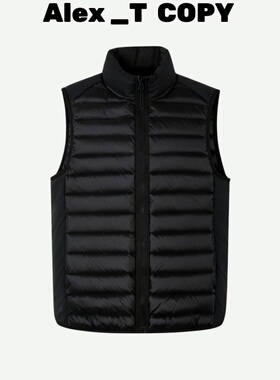 Alex 日订单鹅绒无胆排骨羽绒服男800蓬东丽超轻立领羽绒马甲男