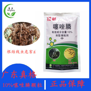 广东真格10%噻唑膦颗粒剂黄瓜西红柿根结线虫农药杀菌剂正品包邮
