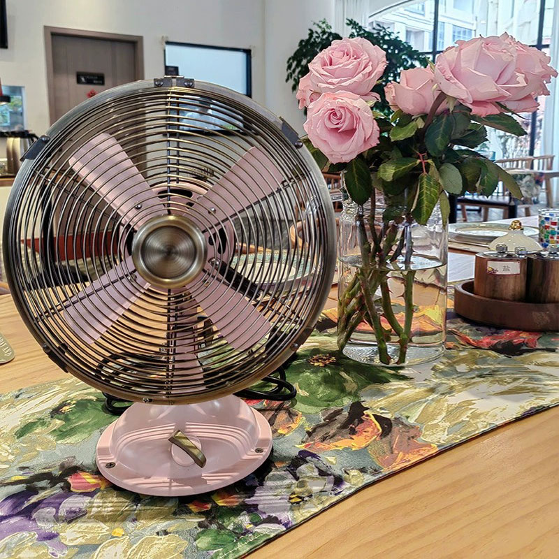 SUNKO台式全金属风扇8寸