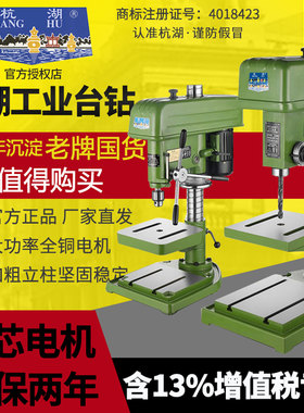 杭湖工业级台钻重型高精度钻攻一体机钻床调速多功能台式钻铣床