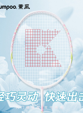 薰风新款正品羽毛球拍对拍专业超轻复合碳纤维熏风RS-01双拍套装