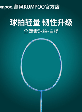 薰风白杨4u羽毛球拍超轻全碳纤维均衡防守成人单拍熏风