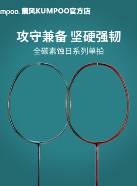 薰风羽毛球拍全碳素纤维克维拉专业进攻单拍熏风蚀日二代4u