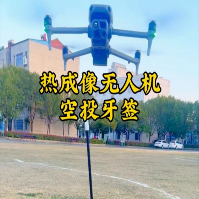 户外用可抗5级风带旋转大尾翼