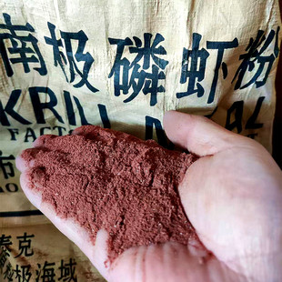 南极鳞虾粉鱼饵料浓腥味纯虾粉黑坑野钓鲤鱼专用窝料冬春季通用饵