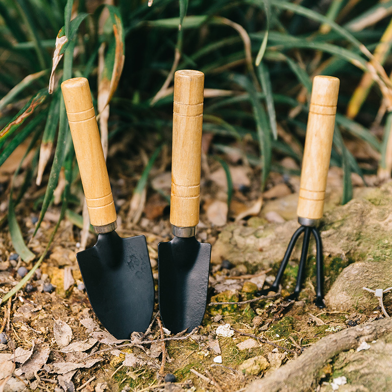 迷你三件套家用铁铲盆栽小铲子种花养花园艺工具种植多肉工具套装