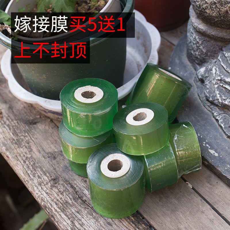 high quality grafting Seedlings Fruit tree grafting Dedicated film No Tie Film Packaging film grafting Bandage Bandagein the Flower delivery/Flowers simulation/Plants gardening , Gardening supplies , Plastic film  category - from Buy2taobao.com to provide professional Taobao agent buy service