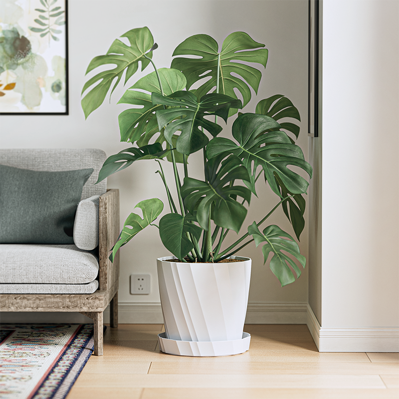 塑料北欧轻奢透气控根