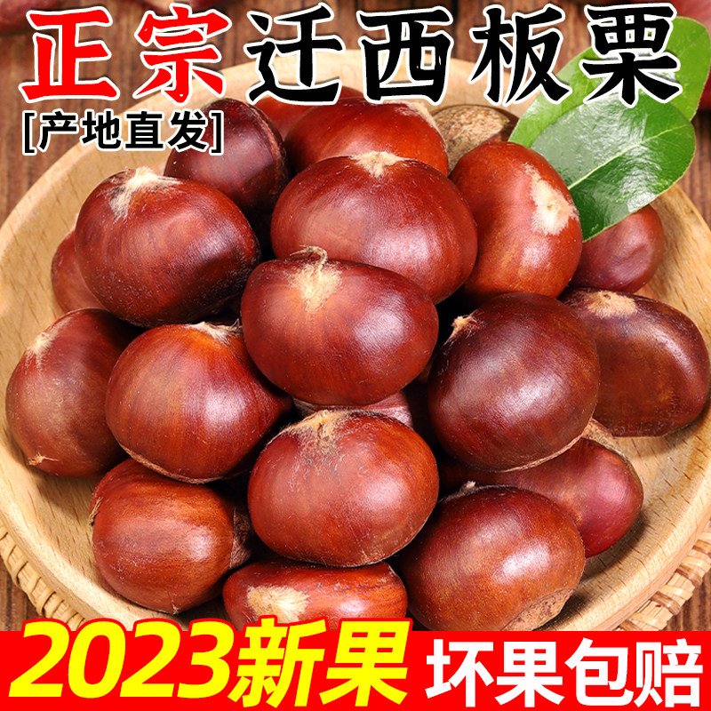 迁西板栗2023年有机栗子新鲜当季现摘大粒正宗油栗小毛栗子生粟怎么样,好用不?