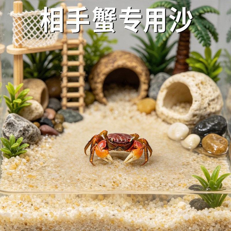 相手蟹专用沙免洗天然尼罗河沙打洞鱼缸饲养箱底砂垫材相守蟹造景