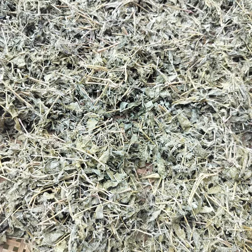广西深山藤茶 显齿蛇葡萄叶 农家自产花草茶 250g