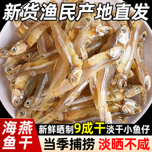 渔民自晒公干鱼无盐小鱼干野生小干鱼海鲜干货海燕鱼白凡鱼咸鱼干