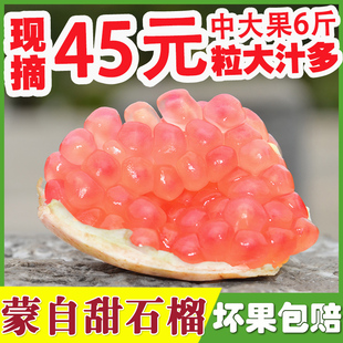 落寞茉云南蒙自甜石榴薄皮软籽汁多应季新鲜水果整箱6/10斤包邮