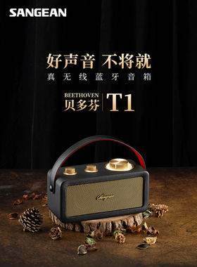 SANGEAN/山进T1 无线蓝牙tws小音响低音炮便携式高音质收音机