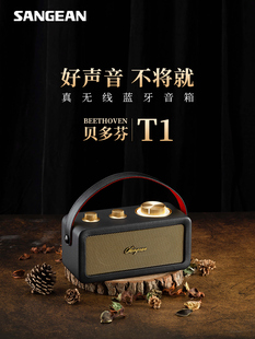 无线蓝牙tws小音响低音炮便携式 高音质收音机 山进T1 SANGEAN