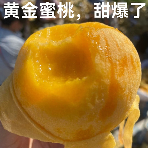 黄桃现摘正宗陕西渭南鲜桃黄肉软糯多汁精选优质一级大果5斤包邮