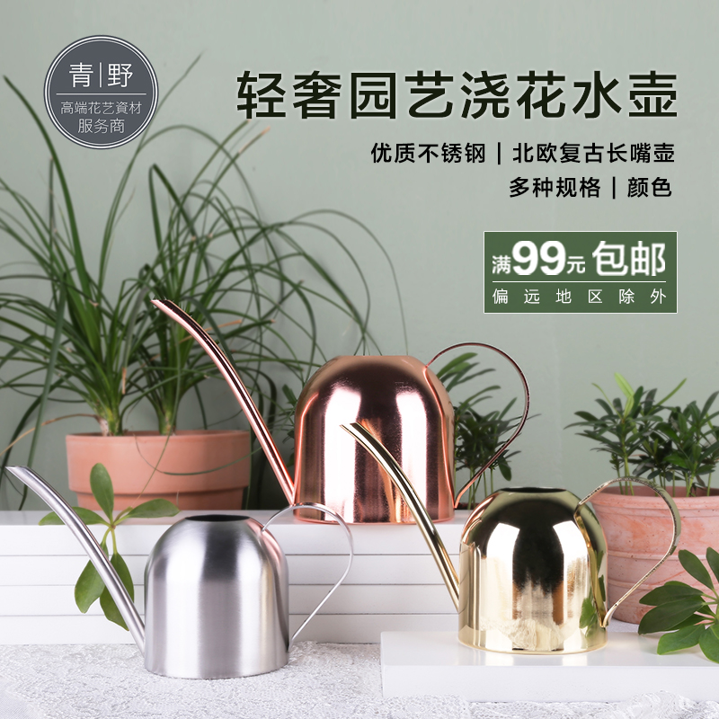 青野轻奢金属长嘴复古多肉植物浇花水壶大小号不锈钢家用商用简约
