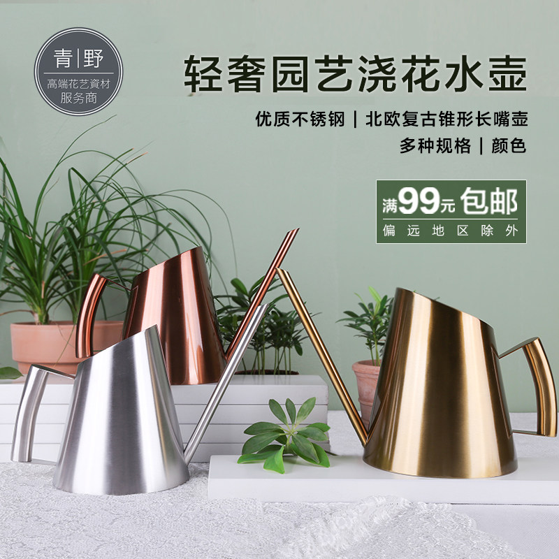 青野轻奢金属不锈钢北欧风长嘴浇水壶多肉植物园艺大小号浇花神器