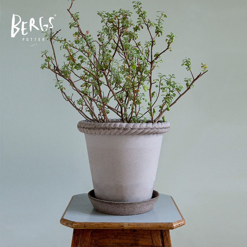 Bergs宝格仕托斯坎纳意大利花盆