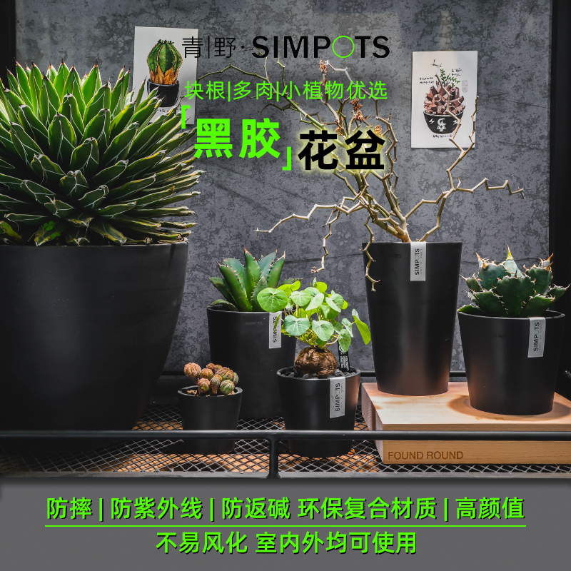 网红爆款黑胶块根植物花盆简约