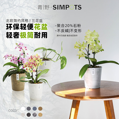 环保黑胶感花盆蝴蝶兰花盆黑胶