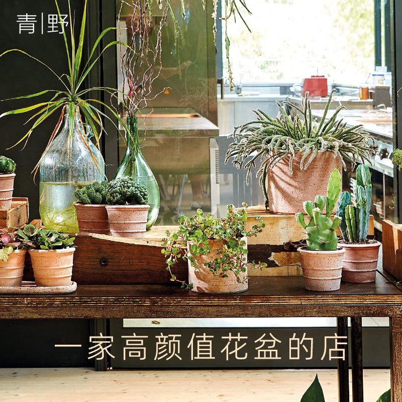 青野园艺家deroma帝罗马陶土盆进口手工粗陶土绿植北欧艺术花盆,鲜花速递/花卉仿真/绿植园艺,花盆,淘宝优惠券,粉丝福利购,淘宝优惠卷
