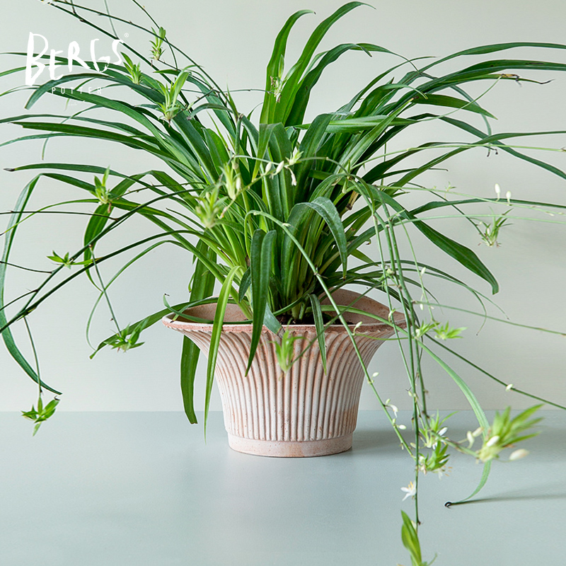 宝格仕雏菊典雅手工盆轻奢花瓶盆