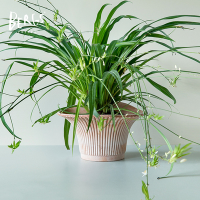 宝格仕雏菊典雅手工盆轻奢花瓶盆