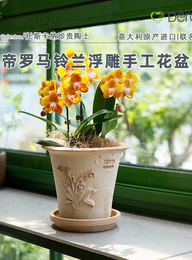 铃兰浮雕帝罗马联名定制款，新品