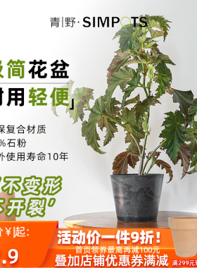 青野花盆树脂多肉盆绿萝仙人球块根水培植物盆栽室U内外大小黑胶
