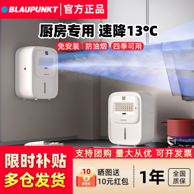 德国蓝宝厨房冰雾扇专用电风扇小空调冷风机家用防油烟制冷壁挂