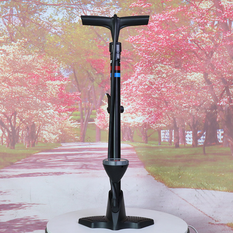 捷安特自行车打气筒便携高压