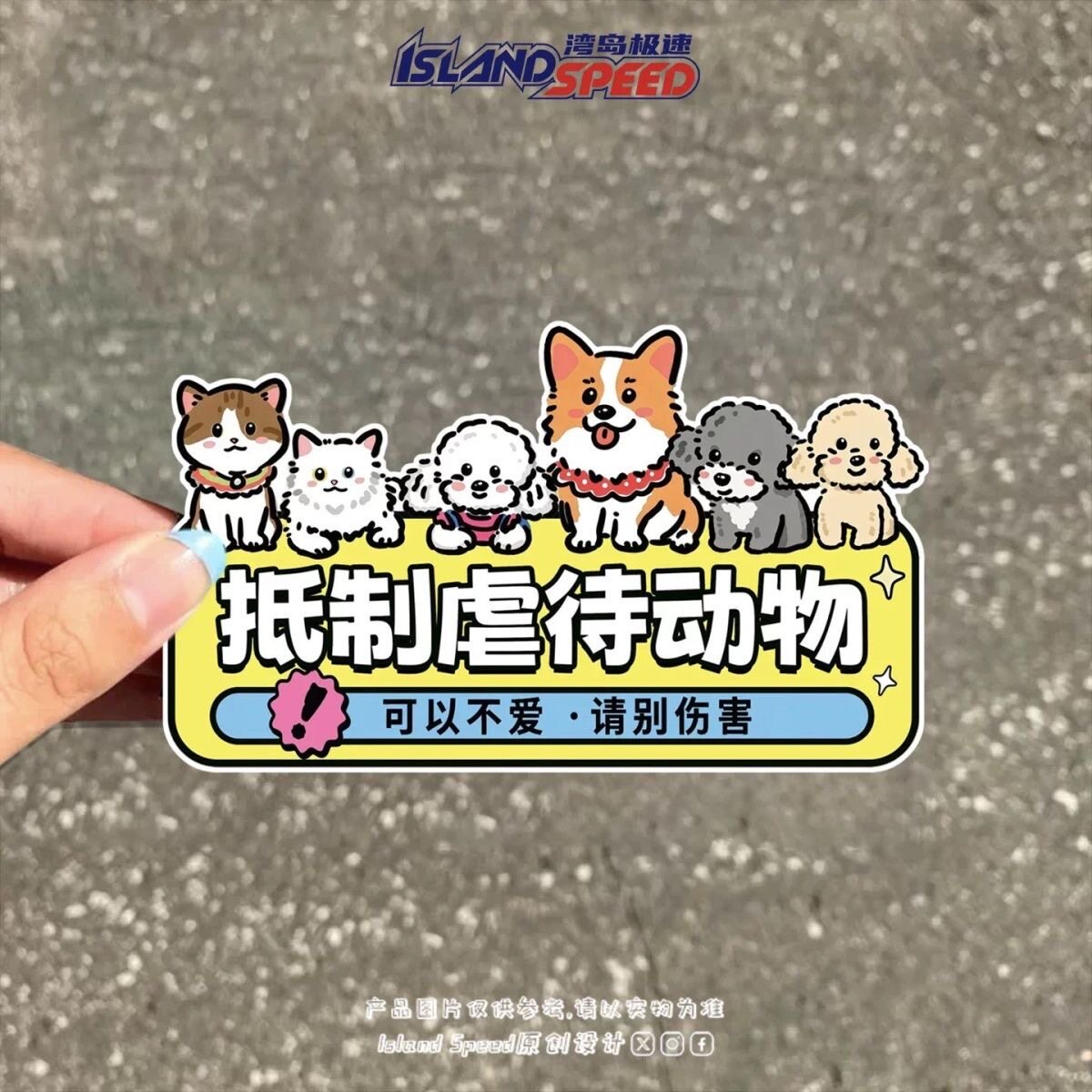反对伤害动物车贴宠物照片流浪猫狗创意文字汽车贴纸