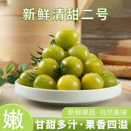 寿光青甜2号小番茄农家自种现摘现发混合多种圣女果水果西红柿
