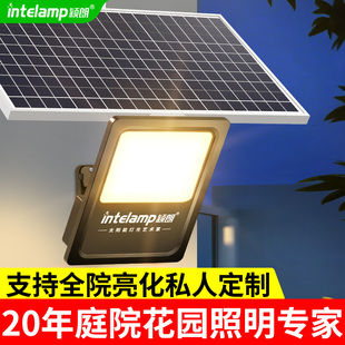 分体式 2025新型光伏太阳能户外灯工程款 家用别墅庭院花园氛围照明