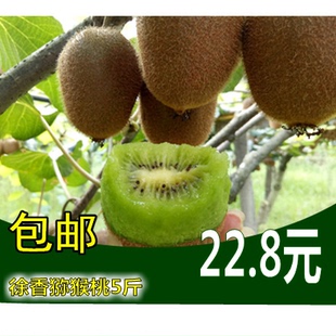 正宗江山徐香猕猴桃 国产绿心奇异果 中果大果