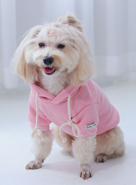 简约连帽系绳袖口标纯色套头卫衣宠物狗狗服饰