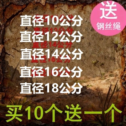 圆形强力老鼠夹捕鼠夹老鼠夹子捕鼠器家用捕鼠粘鼠板老鼠笼子灭鼠