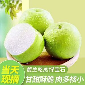 现摘正宗青皮皇冠梨薄皮脆甜多汁当季新鲜水果河北皇冠梨
