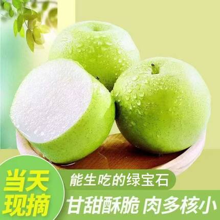 现摘正宗青皮皇冠梨薄皮脆甜多汁当季新鲜水果河北皇冠梨