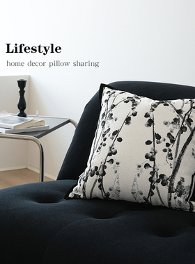 现代简约黑白抽象艺术抱枕客厅沙发样板间靠枕民宿黑白枕套腰枕