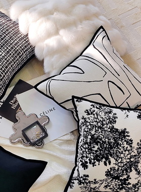 栗笙网红ins风法式黑白复古抱枕客厅沙发靠枕轻奢设计师同款靠垫