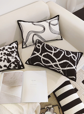 轻奢黑色系组合沙发腰枕客厅艺术腰靠办公室车载时尚护腰靠包