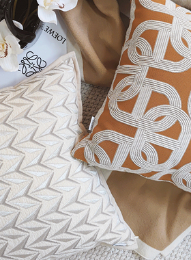 现代轻奢焦糖橙色客厅沙发抱枕濑兔毛靠枕简约高级感猪鼻锁靠垫