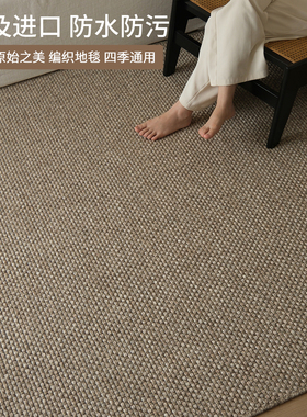埃及进口无胶可水洗防水防污地毯侘寂风复古感编织客厅地毯高级感